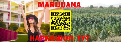 стафф Будённовск
