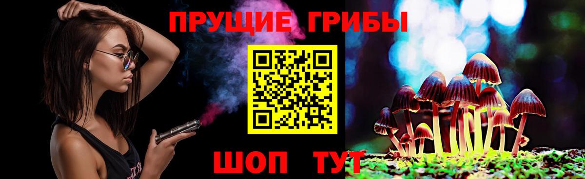 Уфа  Псилоцибиновые грибы мицелий  Вход с VPN 